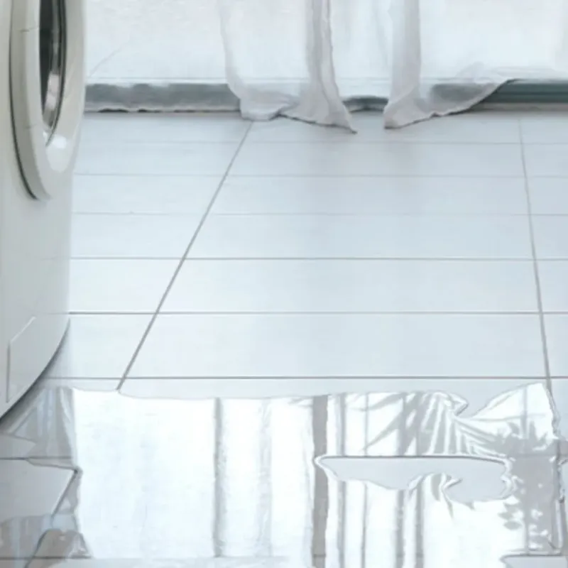 Appliance Leak Cleanup in Frankfort, KY