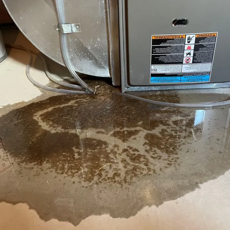 Pipe Burst and Leak Restoration in Frankfort, KY