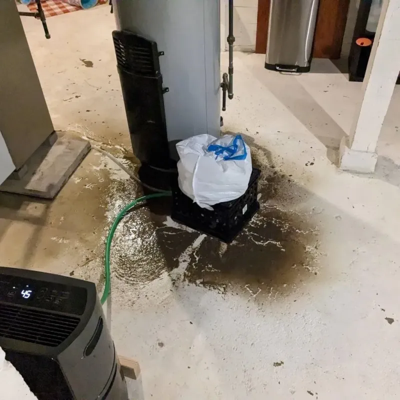Sewage Backup Cleanup Service in Frankfort, KY